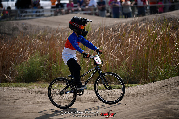 _MRG1198