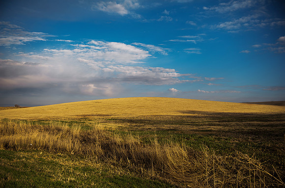 Nebraska Hillside Early Spring