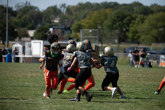 _MRG0667