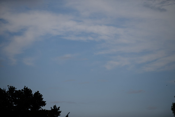 _MRG0853
