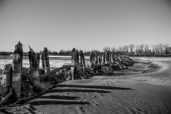 Frozen Oasis blk_