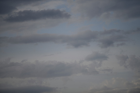 _MRG0779