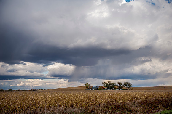 Fall Rain in the country