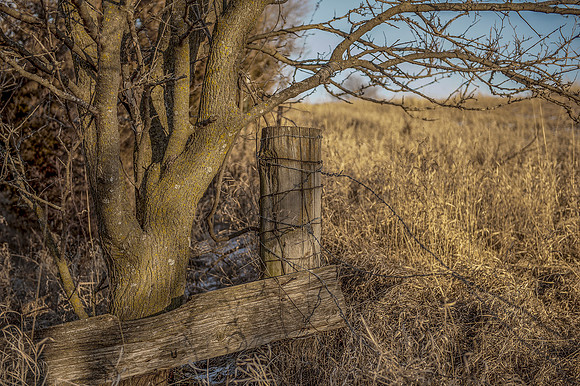 Fence