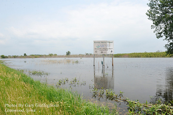 HWY 2 at I -29 IA side_ (4)