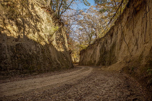 Dirt Road_