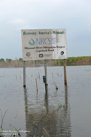 HWY 2 at I -29 IA side_ (6)