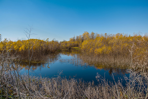 Marshlands in SW Iowa Fall 2013