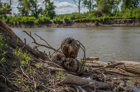 Old River Bank Plyons on the Missouri River