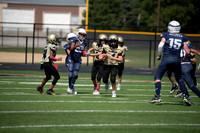 03_Little Rams Black vs Alliance Hawks Blue September 8 2024