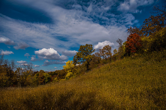 Hillside in the Loess Hills