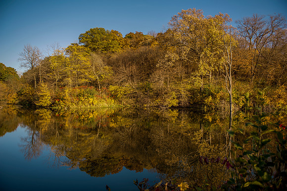 Mile Hill Lake_1