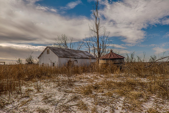 Shed and Storage Bin_